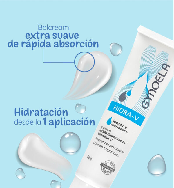 HIDRA-V - Image 3