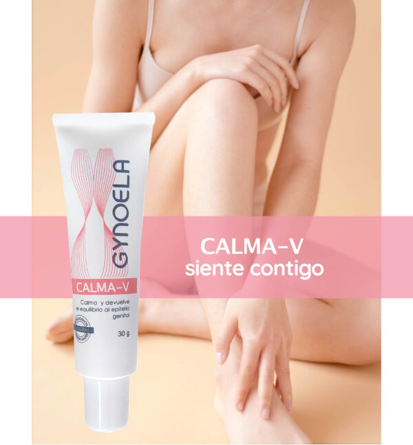 CALMA-V - Image 4